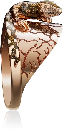 Кольцо 01-5030-00-000-1110-59