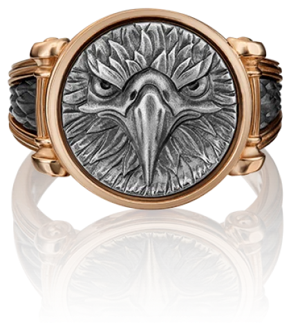 Кольцо 01-5299-00-000-1111-42