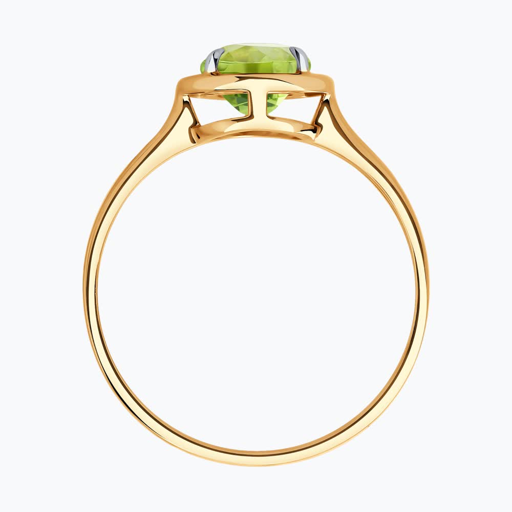 Кольцо 51-310-01927-3